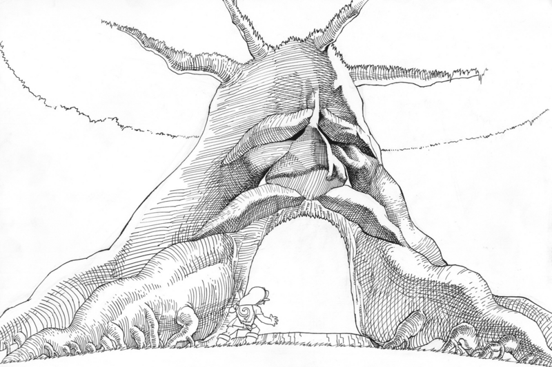 File:OoT Deku Tree Sketch Artwork.png