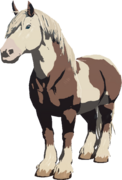 Horse