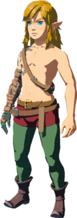 Tingle's Tights model from Tears of the Kingdom
