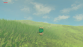 One of the Koroks found on the Farosh Hills from Breath of the Wild