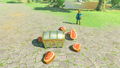 A promotional screenshot of the rewards obtained from scanning the Link (Ocarina of Time) amiibo from Breath of the Wild