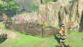 Mellie's Plum Garden