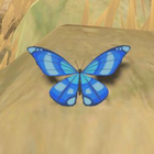 Winterwing Butterfly Normal: 067 (067) Master: 067 (067)