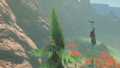 The Korok found along the Shadow Pass from Breath of the Wild
