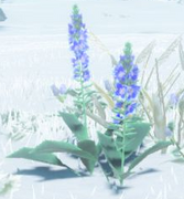 North Tabantha Snowfield - Zelda Wiki