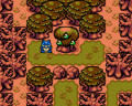 The first Mystery Tree, located in Deku Forest