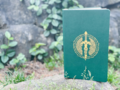 The Legend of Zelda：Tears of the Kingdom Journal 2.png