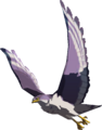 Islander Hawk