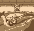 Photograph of the Fisherman from Link's Awakening DX