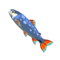 Stealthfin Trout