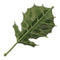 Korok Leaf