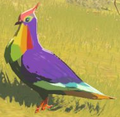 A Rainbow Pigeon from Breath of the Wild