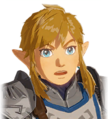 Link's portrait