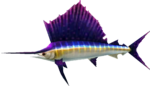 MM3D Grand Swordfish Model.png