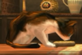 Link (Cat) in Sera's Sundries