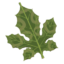 TotK Korok Frond Icon.png