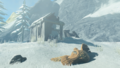 Pondo's Lodge