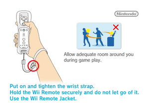 Wii Warning Screen full-screen.png
