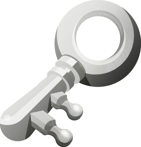 File:TWWHD Small Key Artwork.png