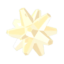 TotK Star Fragment Icon.png