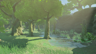Faron Woods screenshot from Tears of the Kingdom