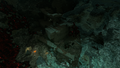 Ruto Canyon Mine