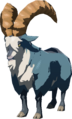 Mountain Goat