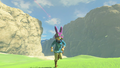 Link equipped with Ravio's Hood from Breath of the Wild