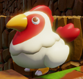 Cucco
