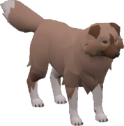 Hylian Retriever - Zelda Wiki