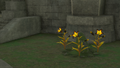 Sonia's grave at the Forgotten Temple from Tears of the Kingdom