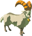 A White Goat from Breath of the Wild