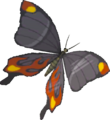 Smotherwing Butterfly