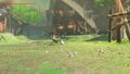 A Cucco that has laid a Bird Egg from Breath of the Wild