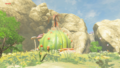 Kaysa's Great Fairy Fountain before blooming from Breath of the Wild