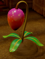 Tough Mango Plant
