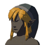 HWAoC Cap of the Wild Black Icon.png