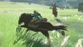 Link and a Bokoblin battling on horseback from Breath of the Wild