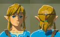 Link wearing the Ruby Circlet from Breath of the Wild