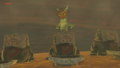 One of the Koroks found in Karusa Valley from Breath of the Wild