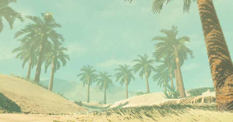 File:BotW Southern Oasis top.png