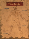 TP Doctor Poster Body.png