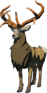 Mountain Buck model from Tears of the Kingdom