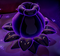 Giant Goponga Flower