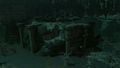 Forest Coliseum