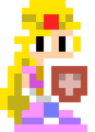 Zelda and Shield costume from Super Mario Maker