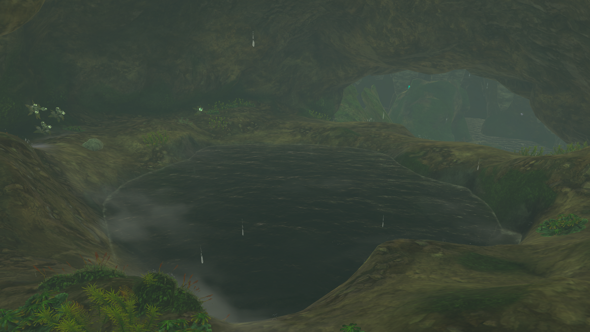 Deya Village Ruins East Well Zelda Wiki