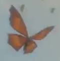 Concept model of a Summerwing Butterfly from Breath of the Wild