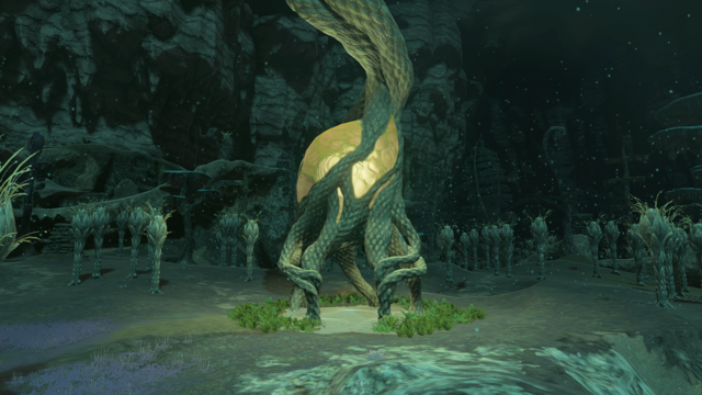 Kuzimoy Lightroot - Zelda Wiki