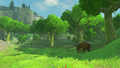 A screenshot released during E3 2016 showing a Woodland Boar in the Forest of Spirits from Breath of the Wild